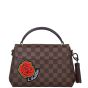 Louis Vuitton Croisette Damier Ebene Stories Back