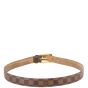 Louis Vuitton Ellipse Belt Damier Ebene Back