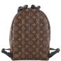 Louis Vuitton Palm Springs Backpack PM Monogram Back