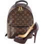 Louis Vuitton Palm Springs Backpack PM Monogram Scale