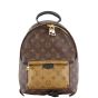 Louis Vuitton Palm Springs Backpack PM Monogram Front
