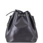 Louis Vuitton Petit Noe Epi back