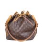 Louis Vuitton Petit Noe Monogram Front