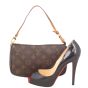 Louis Vuitton Pochette Accessories Monogram Scale