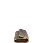 Louis Vuitton Pochette Twin PM Monogram Left