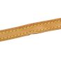Louis Vuitton Pochette Twin PM Monogram Strap