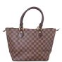 Louis Vuitton Saleya PM Damier Ebene Back