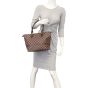 Louis Vuitton Saleya PM Damier Ebene Mannequin