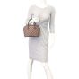 Louis Vuitton Sarria Mini Damier Ebene Mannequin