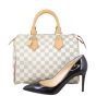 Louis Vuitton Speedy 25 Damier Azur Shoe