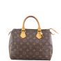 Louis Vuitton Speedy 25 Monogram Front