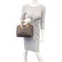 Louis Vuitton Speedy 25 Monogram Mannequin