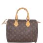 Louis Vuitton Speedy 25 Monogram Back