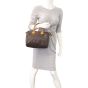 Louis Vuitton Speedy 25 Monogram Mannequin