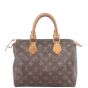 Louis Vuitton Speedy 25 Monogram Back