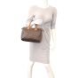 Louis Vuitton Speedy 25 Monogram Mannequin