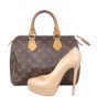 Louis Vuitton Speedy 25 Monogram Shoe