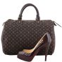 Louis Vuitton Speedy 30 Fusain Monogram Idylle Scale
