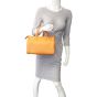 Louis Vuitton Speedy 30 Epi Mannequin