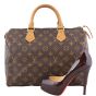 Louis Vuitton Speedy 30 Monogram shoe