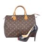 Louis Vuitton Speedy 30 Monogram Scale