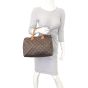 Louis Vuitton Speedy 30 Monogram Mannequin