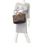 Louis Vuitton Speedy 30 Monogram Mannequin