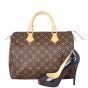 Louis Vuitton Speedy 30 Monogram Scale