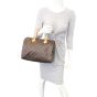 Louis Vuitton Speedy 30 Monogram Mannequin
