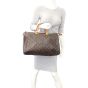 Louis Vuitton Speedy 40 Monogram Mannequin