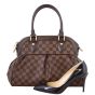 Louis Vuitton Trevi PM Damier Ebene Shoe