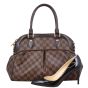 Louis Vuitton Trevi PM Damier Ebene Shoe