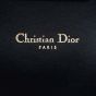 Dior Miss Dior Promenade Pouch Stamp