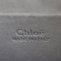 Chloe Nile Bracelet Bag Medium Stamp