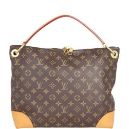 Louis discount vuitton berri