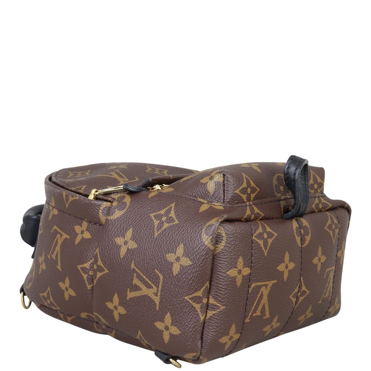 Louis Vuitton Bag Palm Springs Mini Monogram Backpack – Mightychic