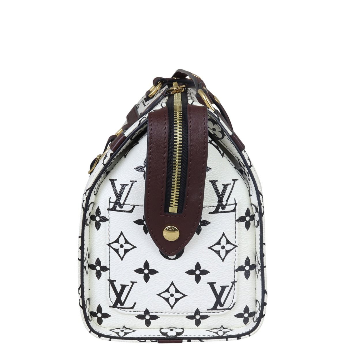 Louis Vuitton Speedy Amazon PM Monogram