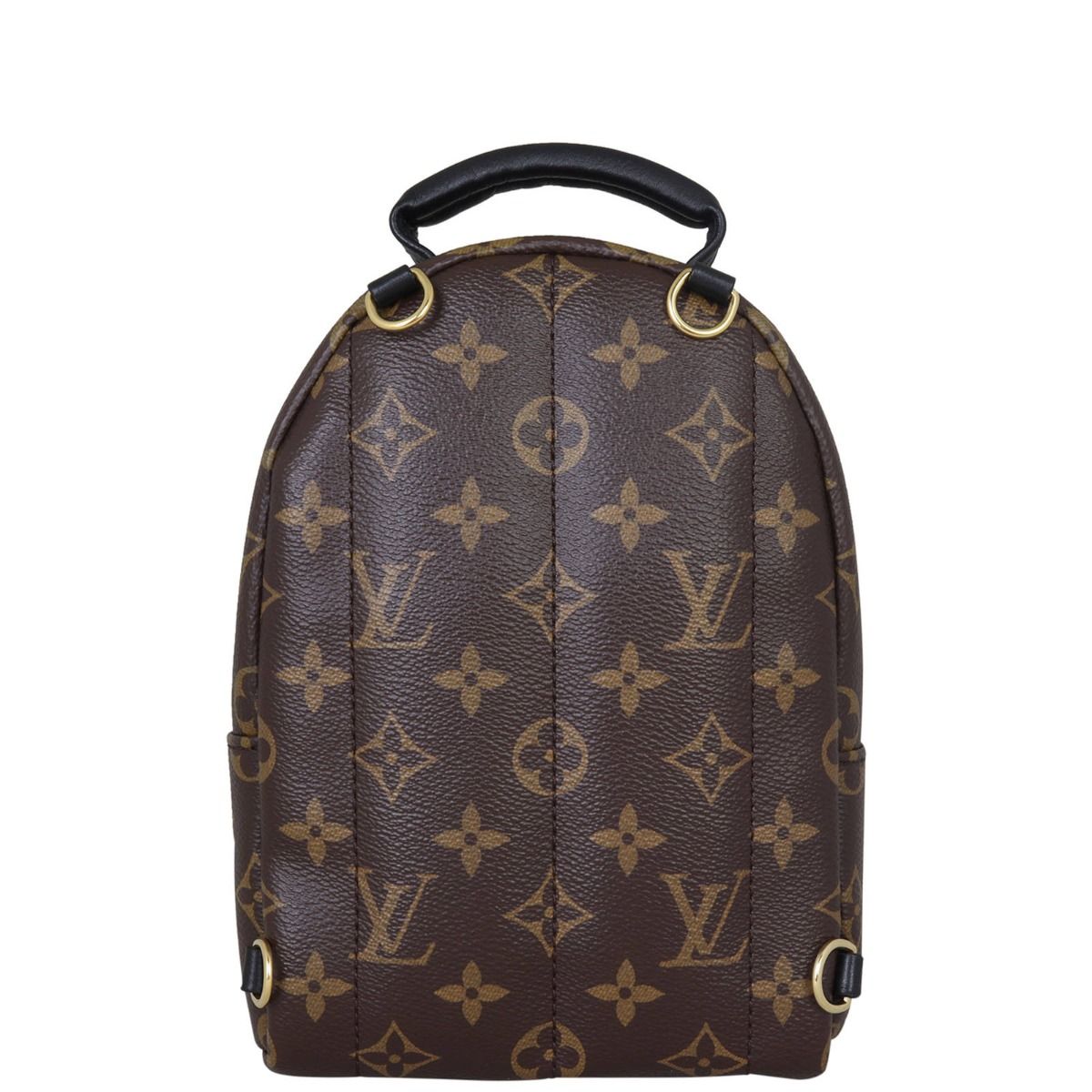 Louis Vuitton Palm Springs Mini Backpack Monogram