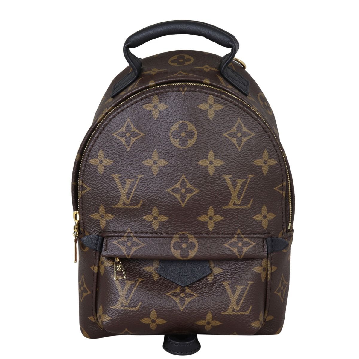 Louis Vuitton Palm Springs Mini Backpack Monogram