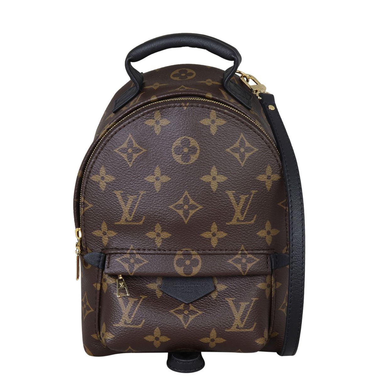 Palm springs mini backpack lv online