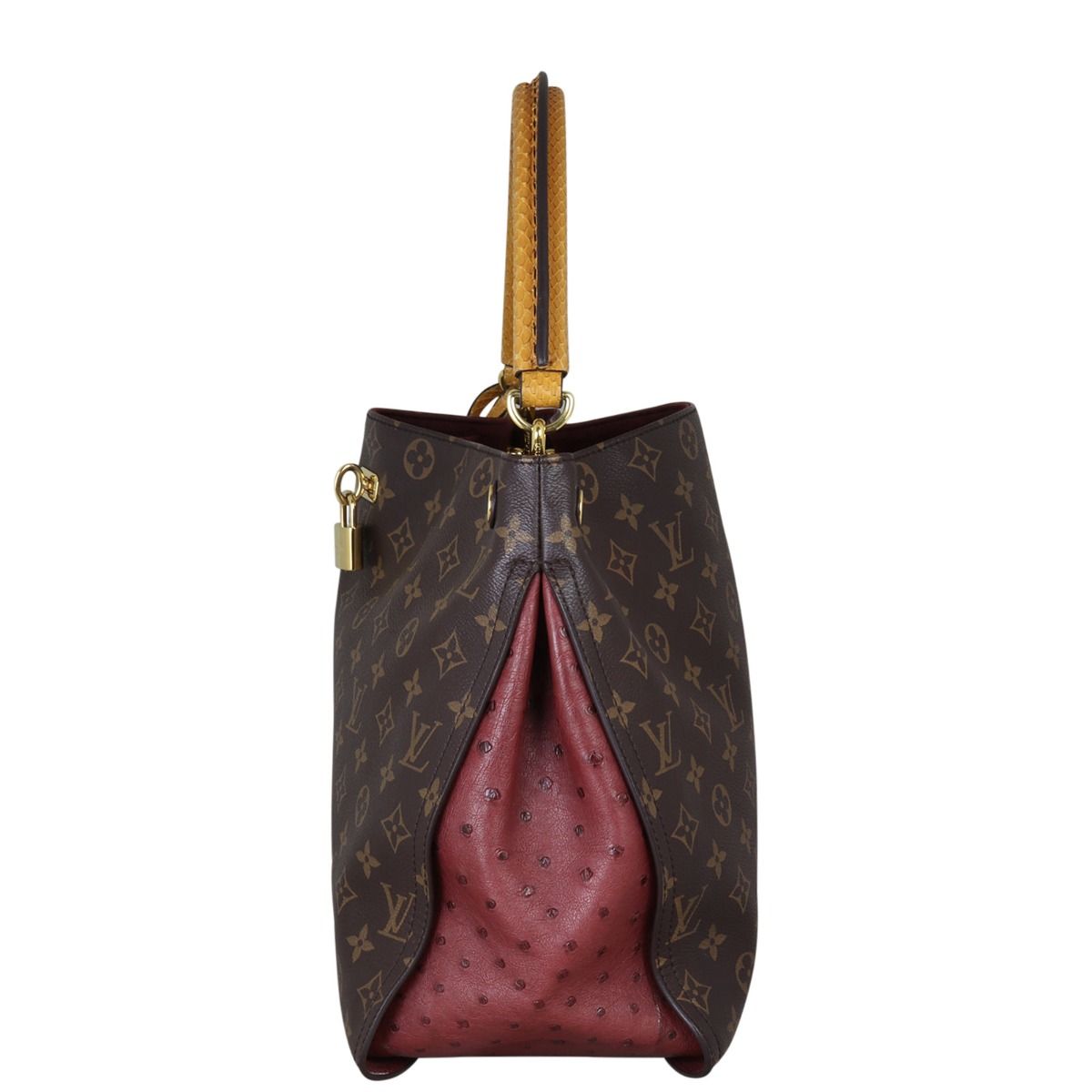 Louis Vuitton Gaia Ostrich Python Monogram