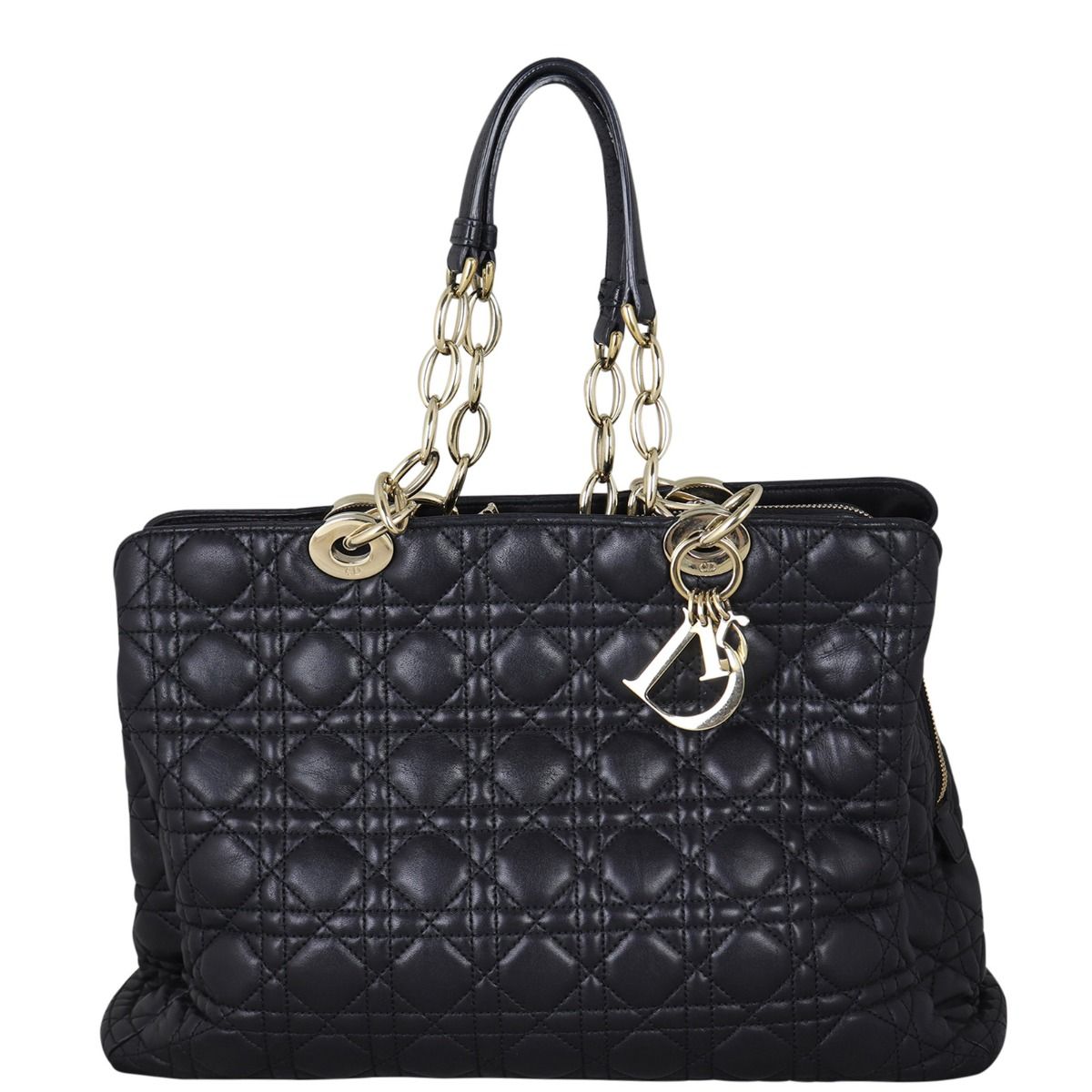 Lady dior canvas bag 2025