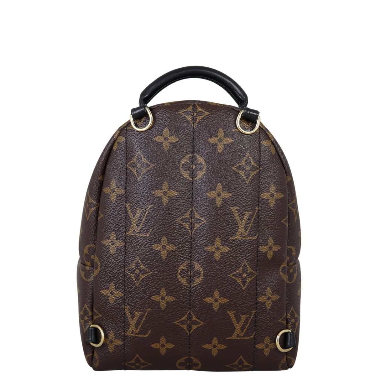 The Louis Vuitton Palm Springs Mini Backpack is one of the most
