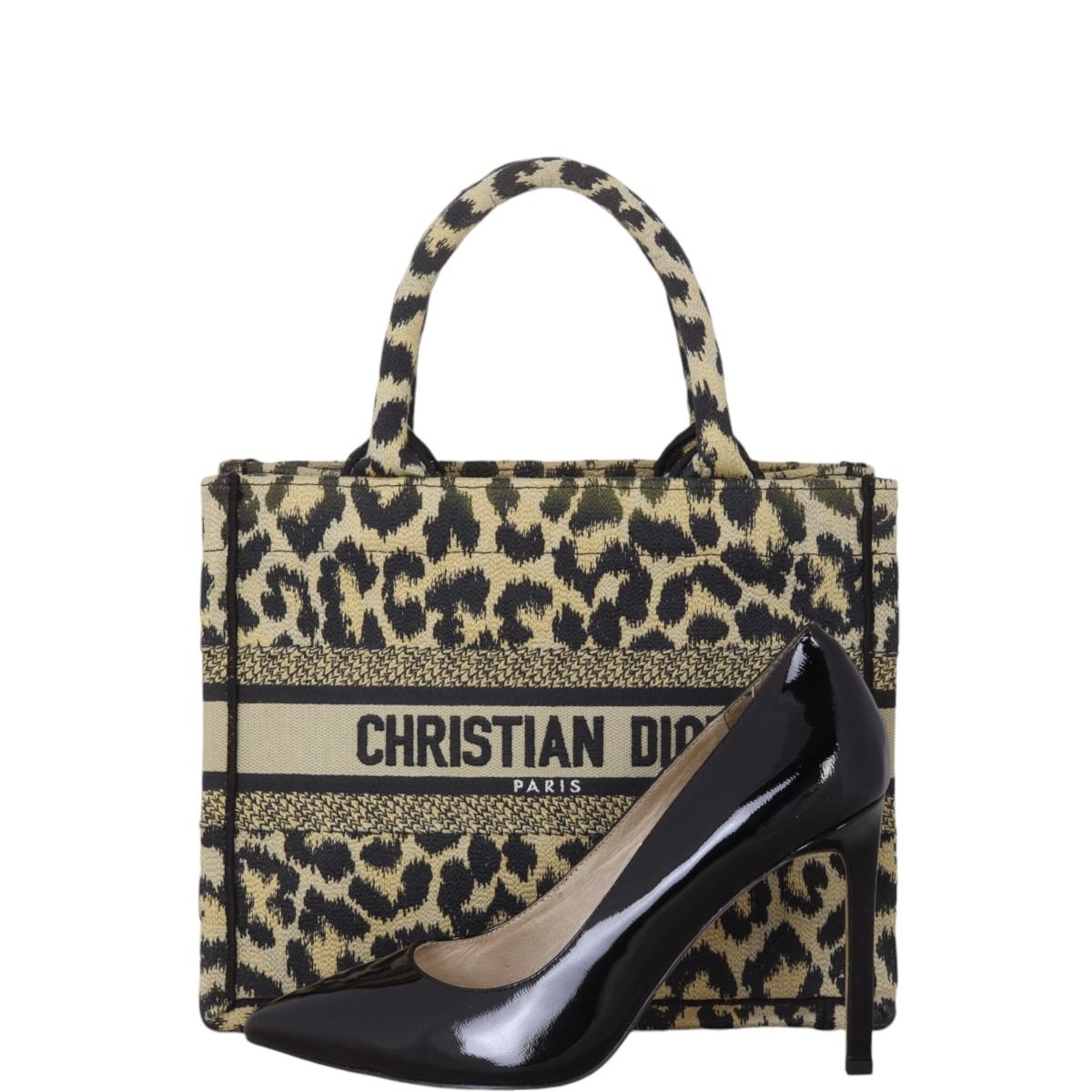 Dior Book Tote Small