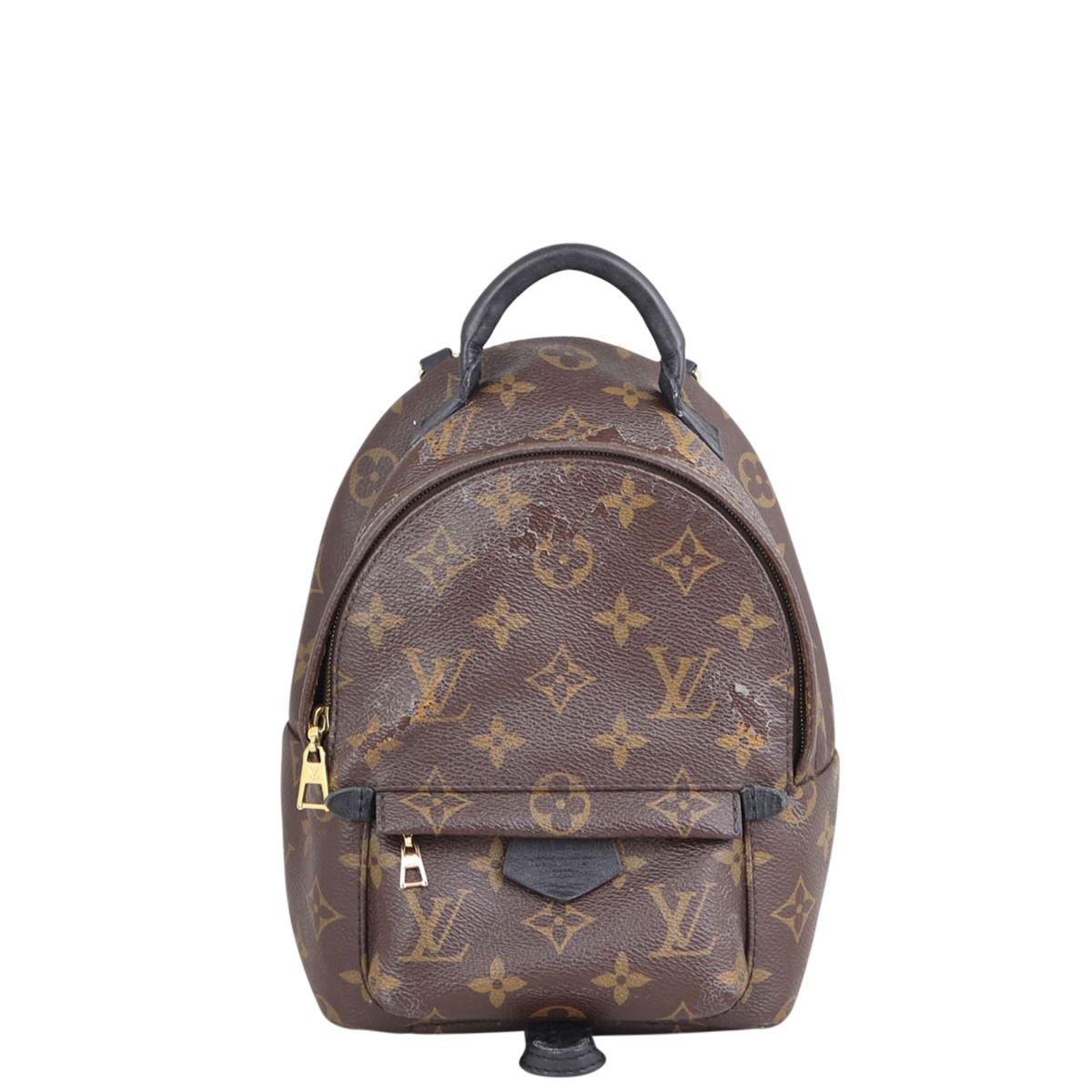 Louis Vuitton Palm Springs Mini Backpack