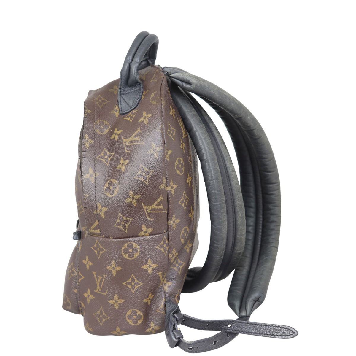 Louis Vuitton Palm Springs Backpack PM Monogram
