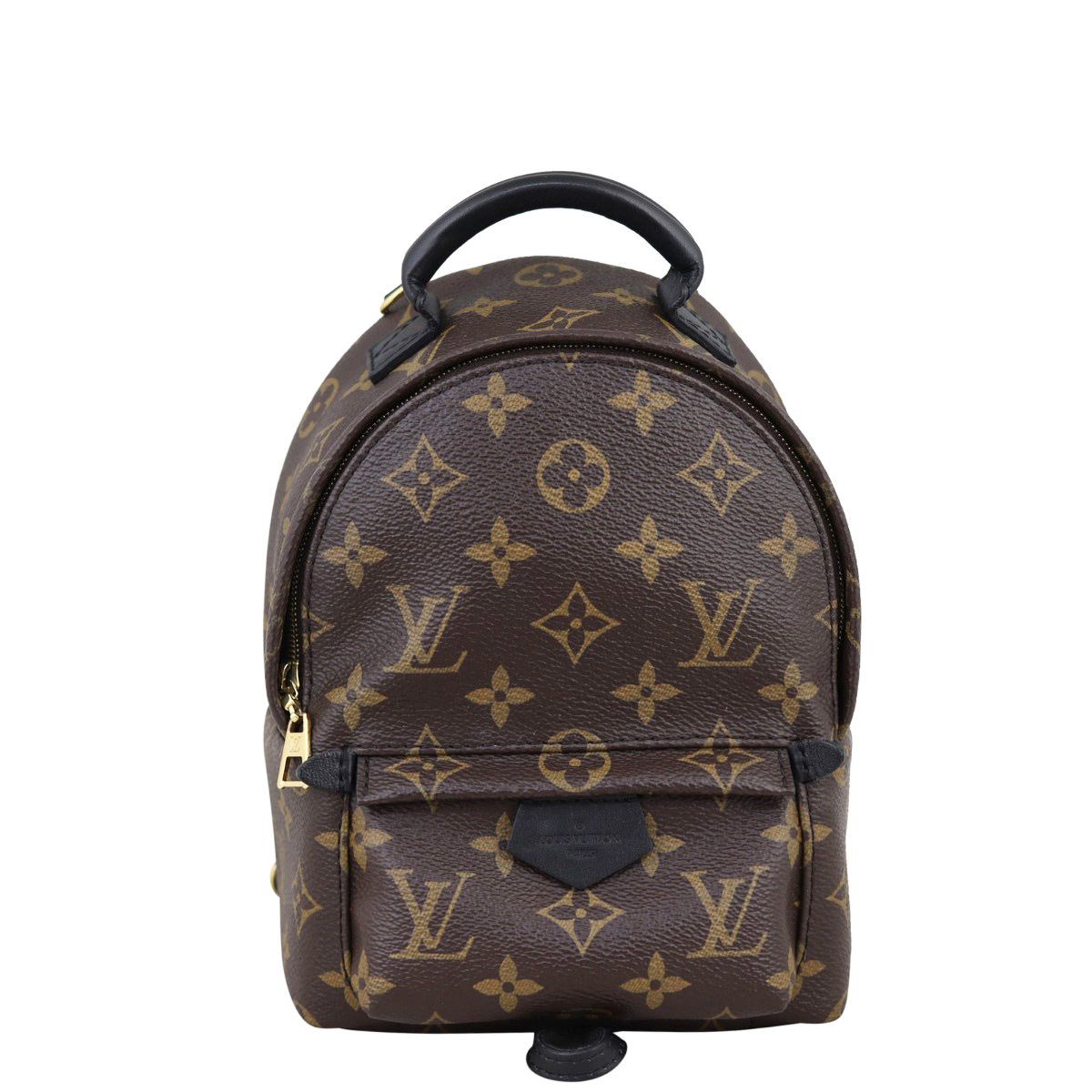 Louis Vuitton Palm Springs Mini Backpack Monogram