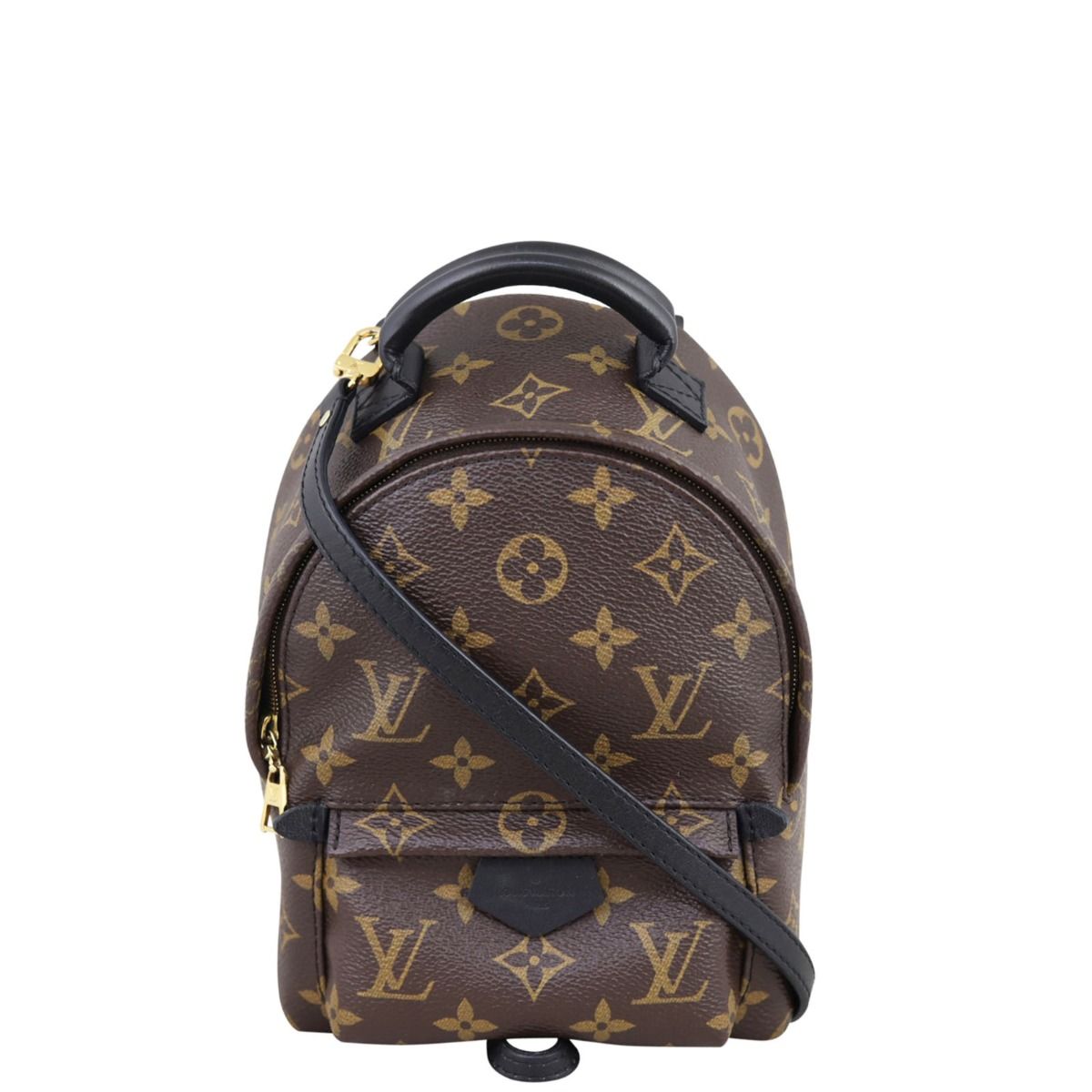 Louis Vuitton Palm Springs Mini Backpack Monogram
