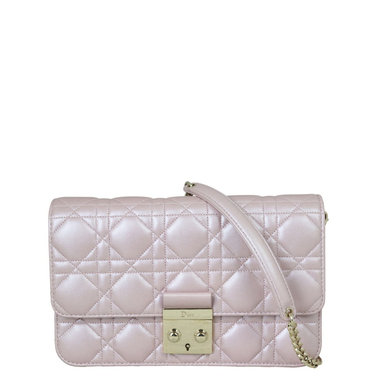 Dior promenade clutch 2025