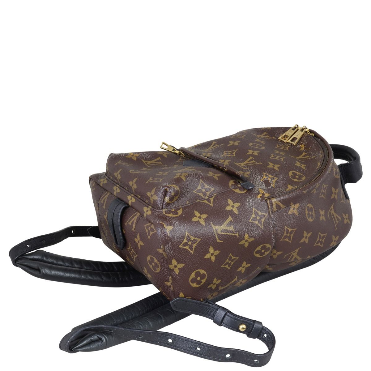 Louis Vuitton Monogram Palm Spring PM BackPack Bag – The Closet